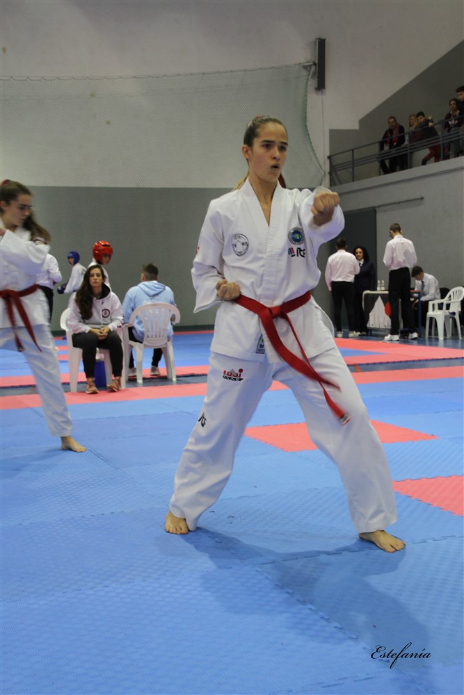 Copa Seul 2018 (457).jpg